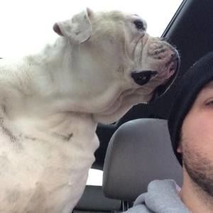 Meet your Posher, Brian